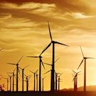 Solar Stocks Dive As Senate Bill Keeps Cuts To Solar, Wind Energy Incentives