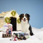 BARK Celebrates a "Fun, Old-Fashioned Family Christmas" with the Launch of Limited-Edition National Lampoon’s Christmas Vacation Dog Toys