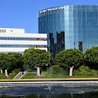 Oracle to Spend Billions Staking AI Claim. There’s 1 Key Risk.