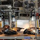 Stellantis and Valeo unveils remanufactured LED headlamp and display screen