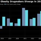 Hot Obesity Drug Market Will Keep Investors Gripped Next Year