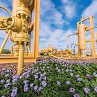 SM Energy Marries Wildcatting and Analytics in the Oil Patch