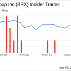 Director Michael Berman Sells Shares of Brixmor Property Group Inc (BRX)