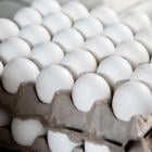 Egg prices rise again in November as bird flu causes havoc in industry