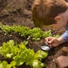 Best Growth Stocks to Buy for May 13th