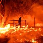 Southern California Edison to pay $80 million over deadly 2017 Thomas fire