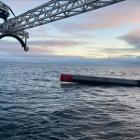 Rocket Lab Successfully Launches First Electron Mission of Busy 2024 Launch Schedule