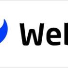 Webull Files Annual Report on Form 20-F for Year Ended December 31, 2024