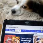 Chewy Stock Slips as Online Pet Supplies Retailer Loses Active Customers