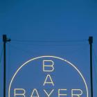 Bayer Stock Slumps on Outlook Cut