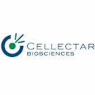 Cellectar Biosciences Inc (CLRB) Q1 2025 Earnings Call Highlights: Strategic Advances Amid ...