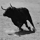 2 Red-Hot Stocks Suited for Momentum Investors