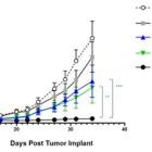 Actinium Presents First Ever Data Demonstrating Actimab-A in Combination with Leading Menin Inhibitors Leads to Anti-Tumor Control and Potent Leukemic Cell Killing in Preclinical Acute Myeloid Leukemia Models at the 2024 EHA Congress