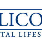 Millicom (Tigo) Q1 2025 Earnings Release