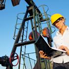 Should You Buy Energy Stocks Hand Over Fist With Trump in the White House? Maybe Not, According to a Recent Survey of Oil Execs.