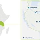 Lifezone Metals Files Initial Assessment for the Kabanga Nickel Project in Tanzania