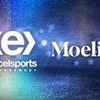 Excel Sports Hires Moelis to Raise Funds, Explore Shamrock Exit