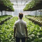 Is The Scotts Miracle-Gro Company (NYSE:SMG) the Best Vertical Farming and Hydroponic Stock to Invest In Now?