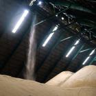 Sugar Traders Push for Stricter Exchange Rule on Delivery Delays