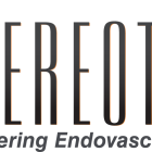 Stereotaxis Reports 2025 First Quarter Financial Results