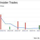 Insider Sell Alert: President Anthony Marino Sells 83,130 Shares of ThredUp Inc (TDUP)