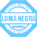 Loma Negra Cia Industria Argentina SA (LOMA) Q4 2024 Earnings Call Highlights: Strong EBITDA ...