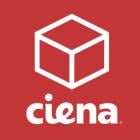 Ciena Q3 Earnings: Revenue And EPS Beat, Operating Margin Decline, CFO Retirement And More