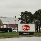 Tyson Foods Queried in Indiana Probe on Illegal Immigration