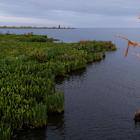 How Hydrogen, the Fuel of the Future, Got Bogged Down in the Bayou