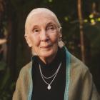 Brilliant Earth Unveils Ethical Jewelry Collection in Partnership With Dr. Jane Goodall