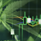 Industry Report: The Cannabis Company that Soared Nearly 100% This Year: What's Behind InterCure's Surge