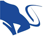 Stag Industrial Inc (STAG) Q1 2025 Earnings Call Highlights: Strong Leasing Performance and ...