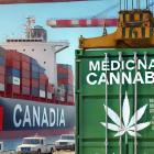 Aurora Cannabis Dominates 30% Of Canada's Medical Marijuana Exports: Will Its Bold International Expansion Pay Off?