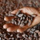 Cocoa prices could be out of control until 2026: Here's why