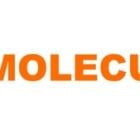 Moleculin Highlights Development Progress of Annamycin, Phase 2 Data Outperforms Billion-Dollar Assets in AML, Phase 3 Data Readouts in 2025 & 2026