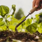 Best Growth Stocks to Buy for April 29th