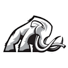 Mammoth Energy Services Inc (TUSK) Q1 2025 Earnings Call Highlights: Strategic Growth Amid ...