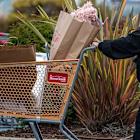 TJX Beat Earnings. Why the Stock Is Down.