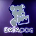 Datadog sees annual revenue, profit below estimates as enterprise spending lags