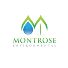 Montrose Environmental Group Inc (MEG) Q3 2024 Earnings Call Highlights: Record Revenue and ...