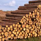 Weyerhaeuser Director Buys Up the Slumping Stock