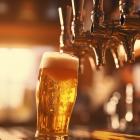 Is The Boston Beer Company, Inc. (SAM) The Best Alcohol Stock To Own According to Hedge Funds?