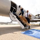 BARK Air Celebrates First Anniversary with New Routes and Private Charters