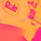 Dole (DOLE) Stock Trades Down, Here Is Why