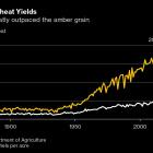 Corteva Unveils Wheat Breakthrough as Seed Race Heats Up