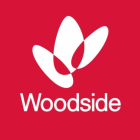 Woodside Energy Group Ltd (WOPEF) (Q4 2024) Earnings Call Highlights: Record Production and ...