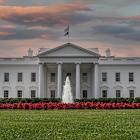 2 Stocks That Plummeted During President Trump's First 100 Days in Office, and Where They Could Be Headed