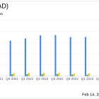 Lithia Motors Inc (LAD) Reports Record Q4 Revenue Amidst Earnings Dip