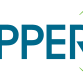 Koppers Holdings Inc (KOP) Q1 2025 Earnings Call Highlights: Navigating Challenges with ...