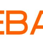 Ebang International Reports Financial Results for Fiscal Year 2024